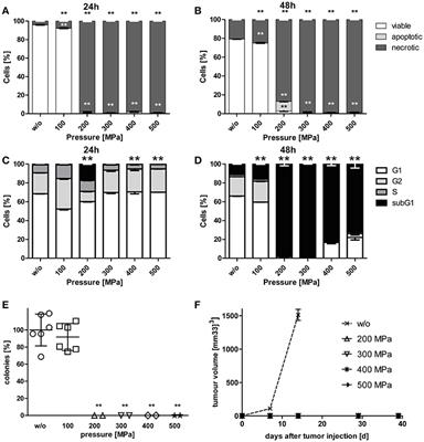 Tumor Cell-Based Vaccine Generated With High Hydrostatic Pressure Synergizes With Radiotherapy by Generating a Favorable Anti-tumor Immune Microenvironment